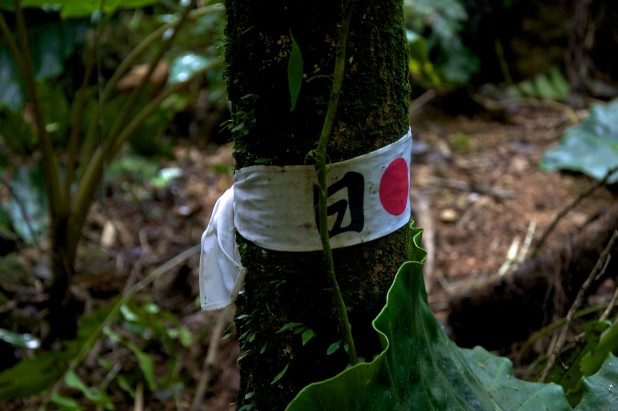 Hachimaki
