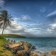 Coconut Tree at Piti Channel