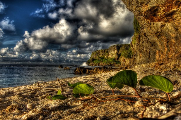The Shore